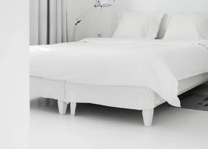 Hotel College 4*