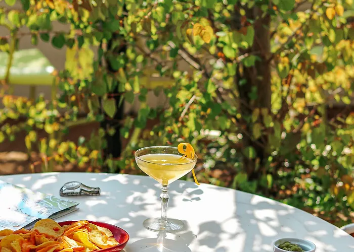 酒店 学院酒店 4*