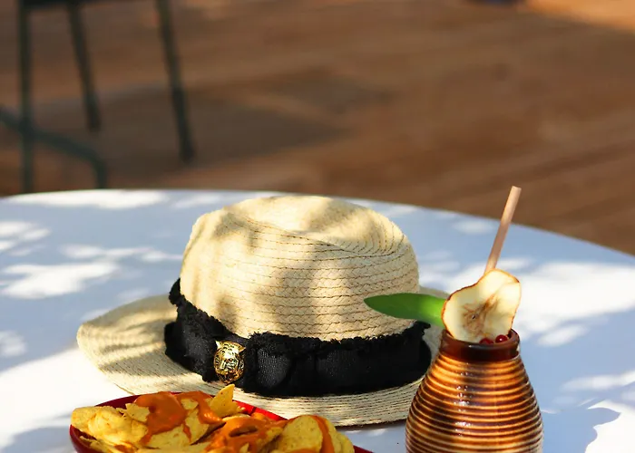 酒店 学院酒店 里昂